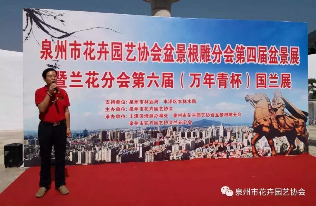 喜迎国庆展风采,迎国庆鲜花展美图