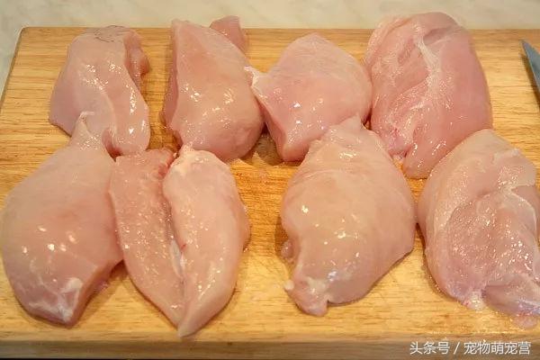 宠物狗生骨肉制作,宠物狗生小狗有什么动作