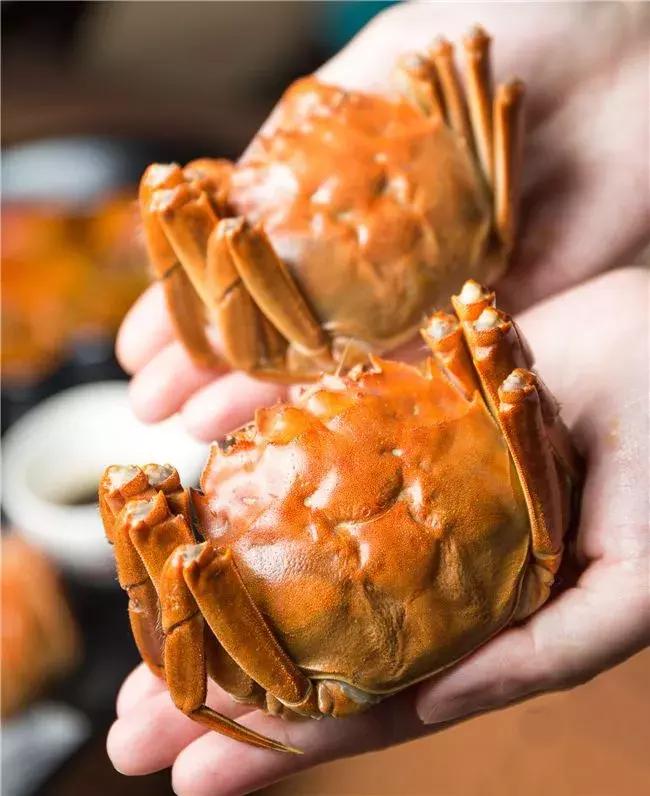 20道豪门蟹宴+梦幻火烈鸟甜品Show！大闸蟹畅吃只只爆膏！