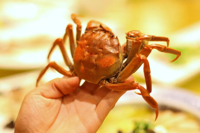 江南旅游注意事项及出行指南,旅游江南水乡