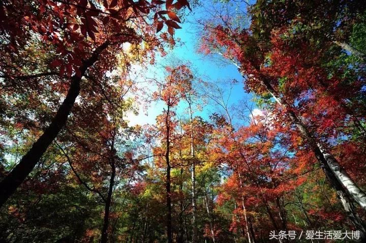 这个假期很美,这个假期的好去处