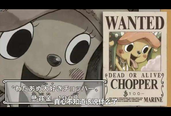 海贼王可怜的山治和乔巴,海贼王可怜的乔巴