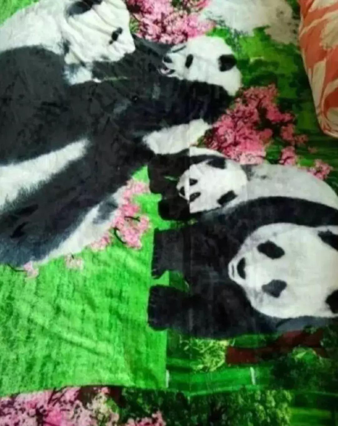 国庆放假回家，看到我妈做的新拖鞋，我哭了……