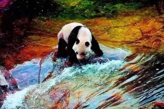 西安出发秦岭最美秋景自驾环线游,西安出发一小时深藏秦岭山水秘境