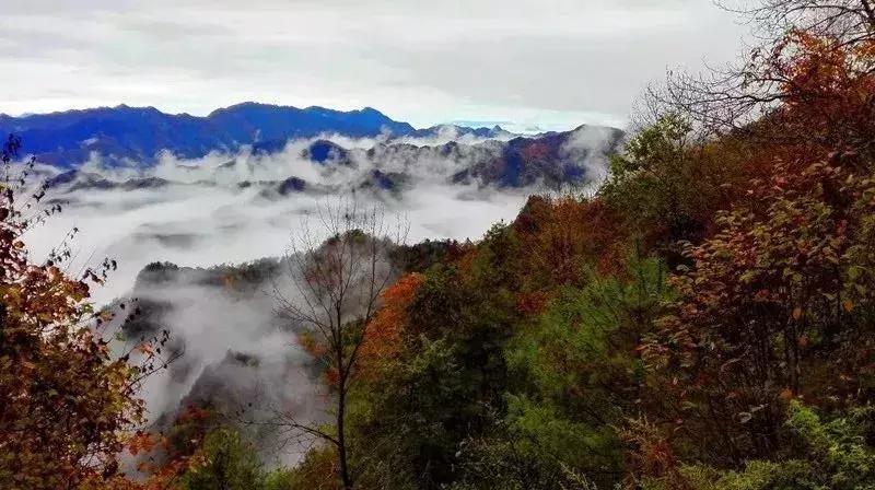 西安出发秦岭最美秋景自驾环线游,西安出发一小时深藏秦岭山水秘境