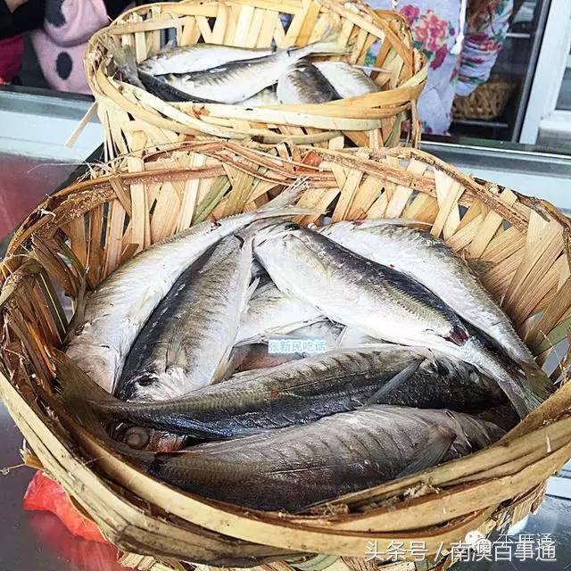 潮汕说的熟鱼和巴浪鱼有什么区别,巴浪鱼只有闽南粤东才有吗