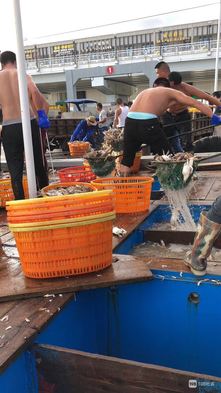 游客去舟山怎么买海鲜,舟山小白海鲜
