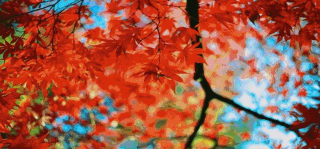 西安秦岭自驾一日游免费景点,西安出发一小时深藏秦岭山水秘境