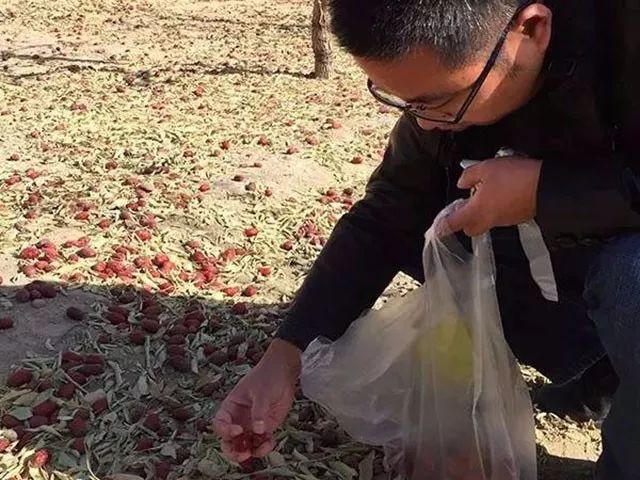 一条拼团｜日本植物精华染发膏，*疆新**若羌红枣