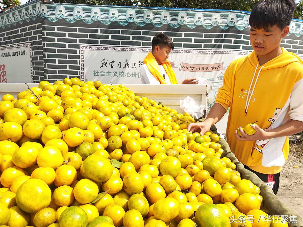 宜昌流动卖橙子,宜昌蜜桔市场好卖吗
