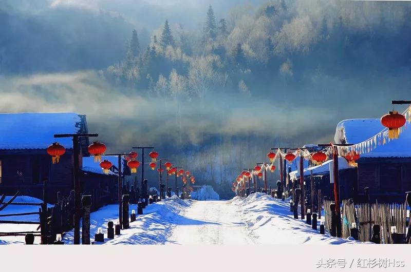 长假里，各大景点人满为患，这里怎么样呢？——森林氧吧