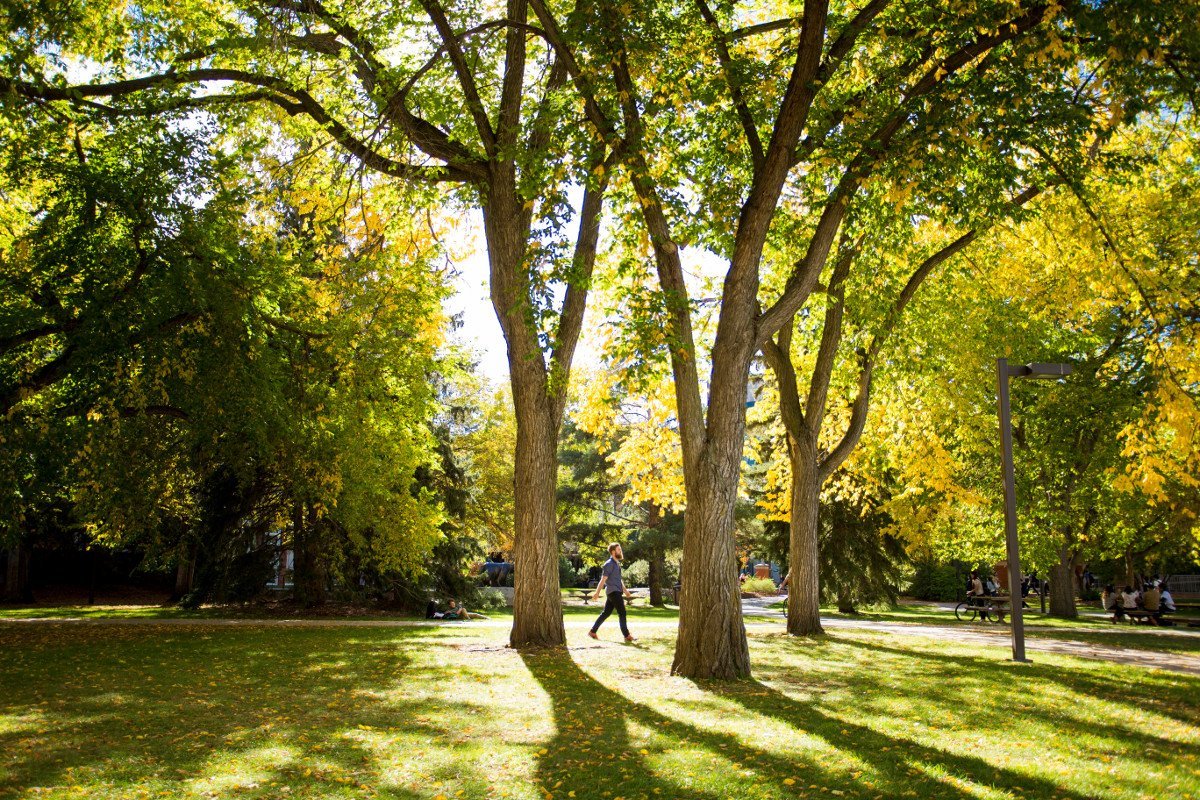 让时间慢下来视频,让时间慢一点的方法