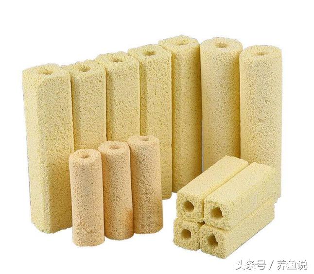 细菌屋如何使用,细菌屋的正确方法