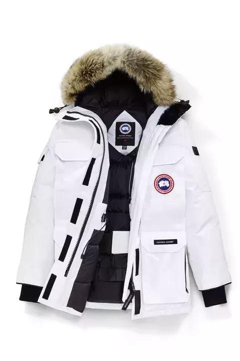 加拿大鹅什么时候涨价,加拿大鹅哭了的视频