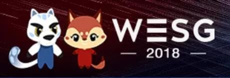 wesg中国区总决赛冠军,wesg2018冠军