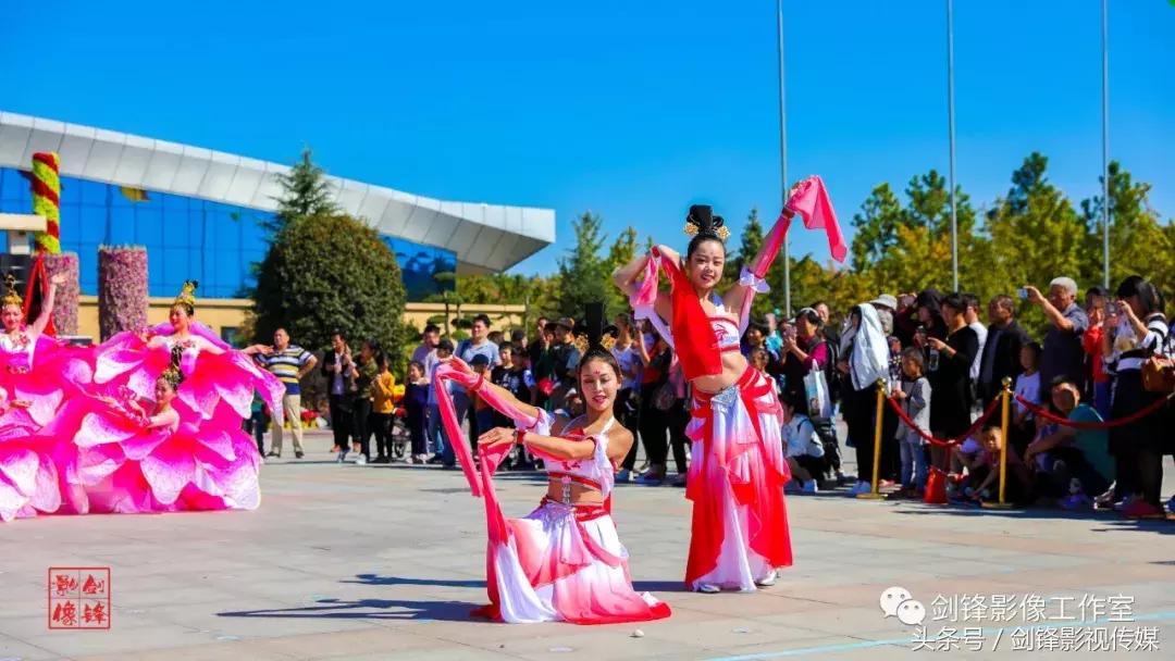 百花争艳花展,争奇斗艳花卉展