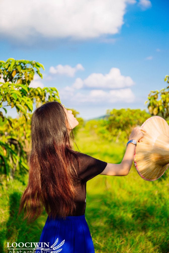 第一次采摘火龙果的体验,高明采摘火龙果