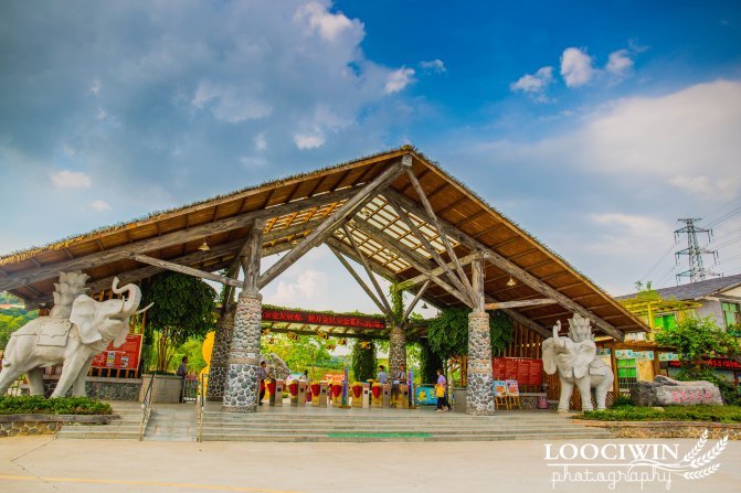 第一次采摘火龙果的体验,高明采摘火龙果