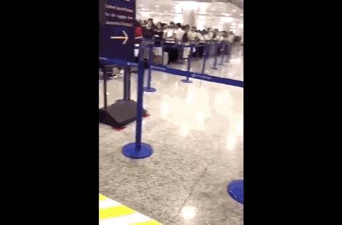 全国百日严打整治行动抓捕人数,三次全国范围的严打行动