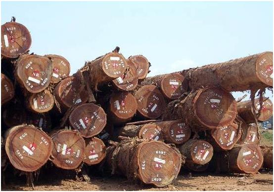 地板真伪鉴别有诀窍,地板深层污渍测评