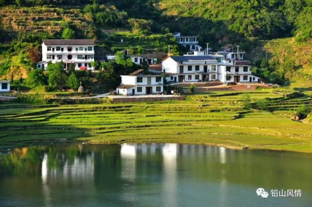 「荐读」岩前，既有故事也有诗