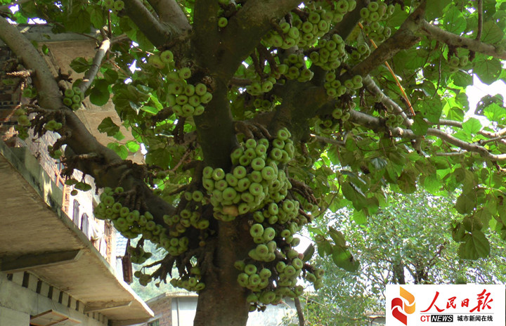 牛角山半日游,牛角山最值得去的地方