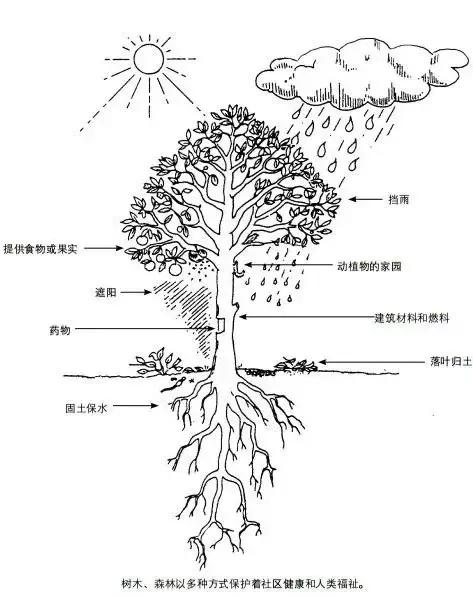 写给环境的一封信,写给社区的一封信