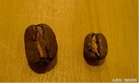 小白去咖啡店怎么点咖啡,小白怎样去操作咖啡店