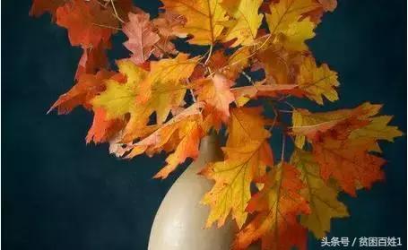 懂得拒绝才能不卑微,懂得拒绝才能做到无悔