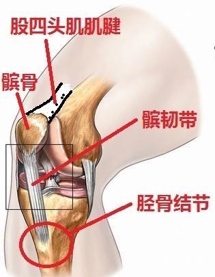 小孩子经常膝盖痛是什么原因,小孩膝盖疼痛的原因和解决方法