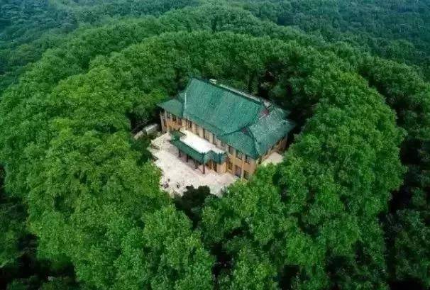 出去人从众,玄武为你安排了身边的风景