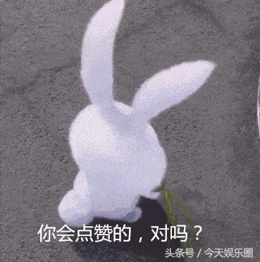 白马谁家子原文,白马谁家子黄龙边塞儿翻译