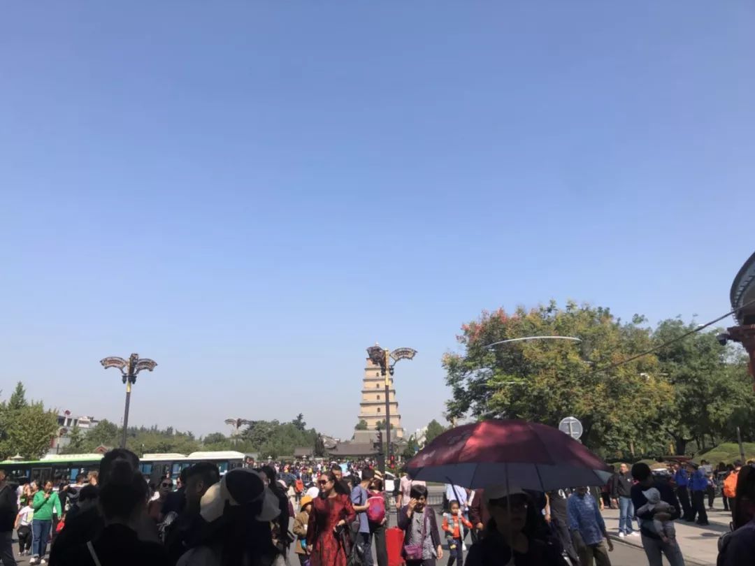 假期返程不走高速好吗,长假返程高速最新消息