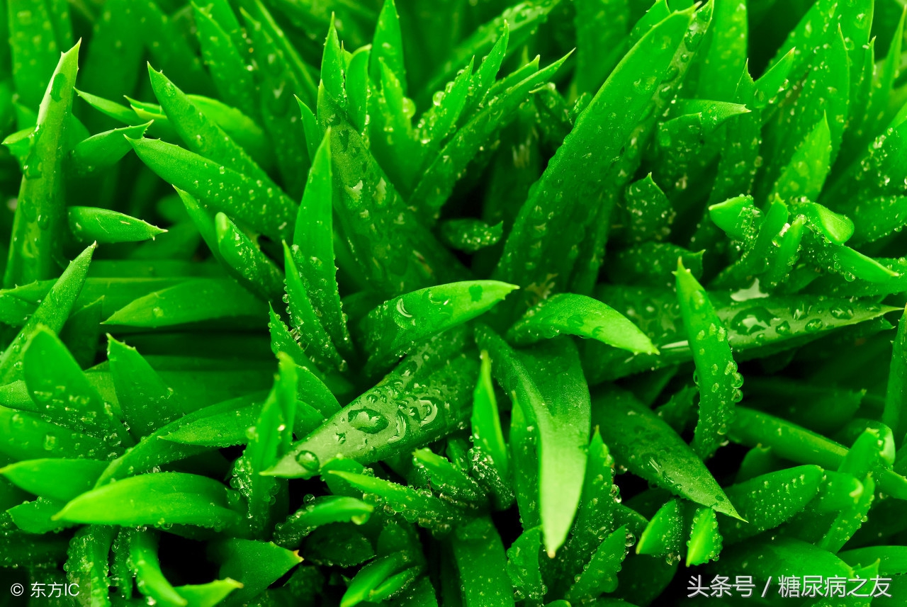 糖尿病患者便秘吃什么药通便,糖尿病患者便秘解决方法