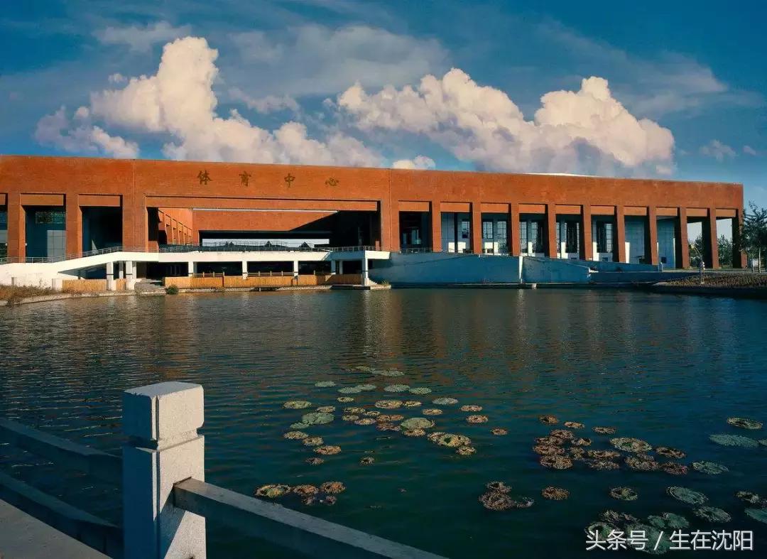 沈阳三十二所高校都有什么,沈阳高校一览表