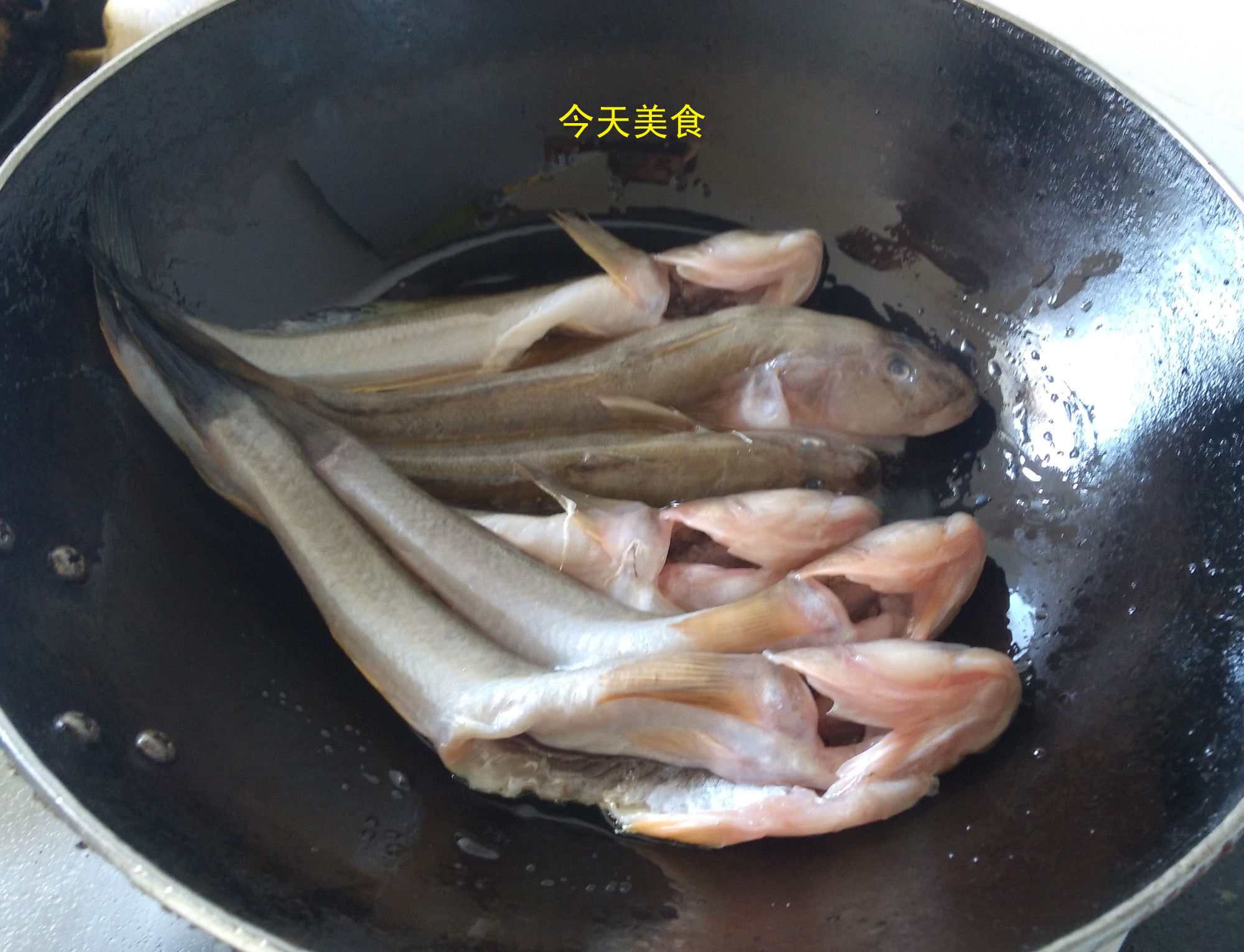 秋天最爱“胖头鱼”，它长得胖，有一个大头，骨软刺少就是好吃！