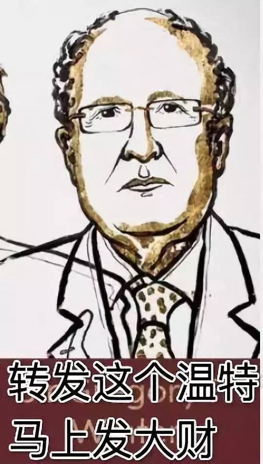 转发这条锦鲤带来好运,转发锦鲤的奖励