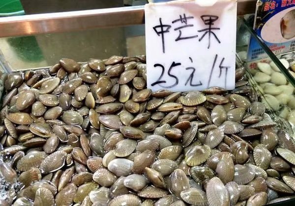 享受阳光拥抱大海,三亚阳光大海之旅