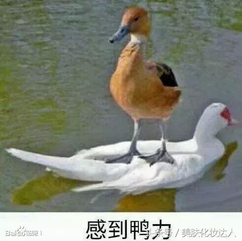 竟然连大幂幂都有解决不了的肌肤问题？