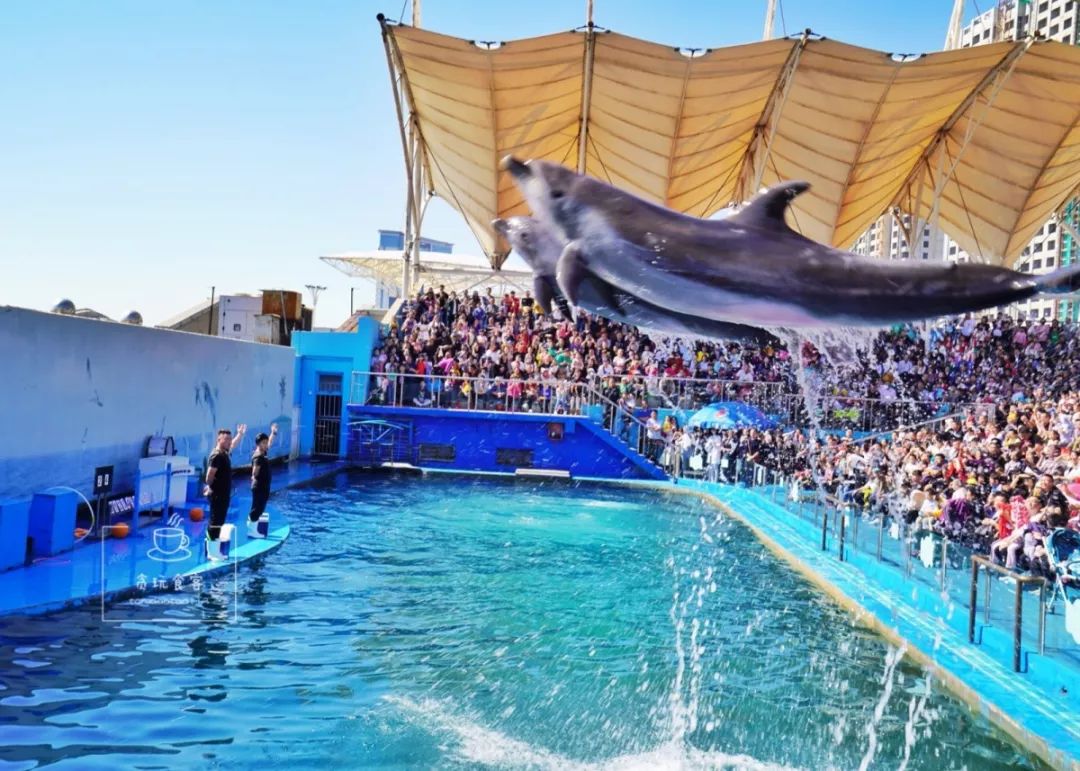 秦皇岛旅游攻略夜景,秦皇岛旅游攻略这几个景点必去
