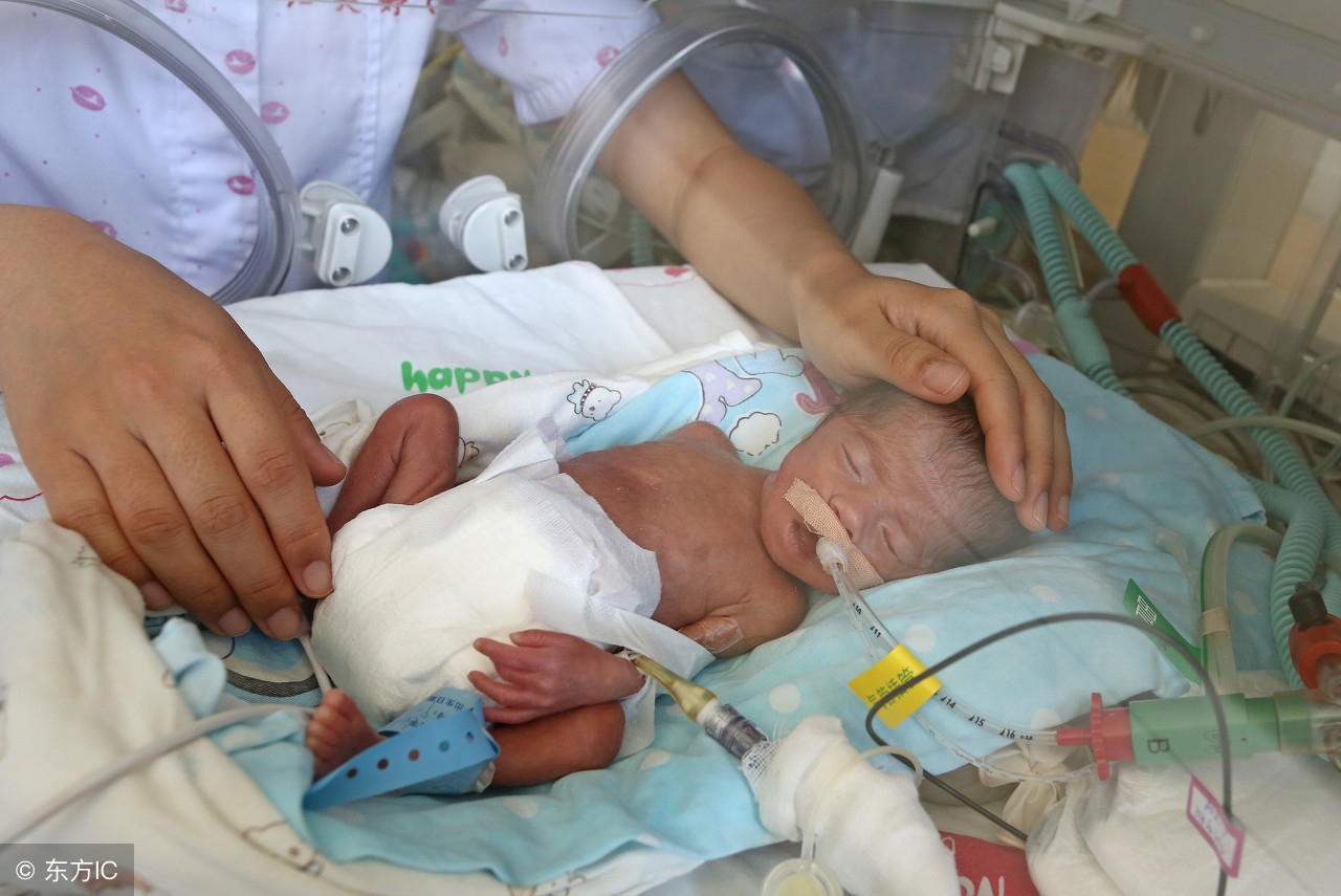 早产儿注意事项和护理方法,早产儿的护理与喂养小视频