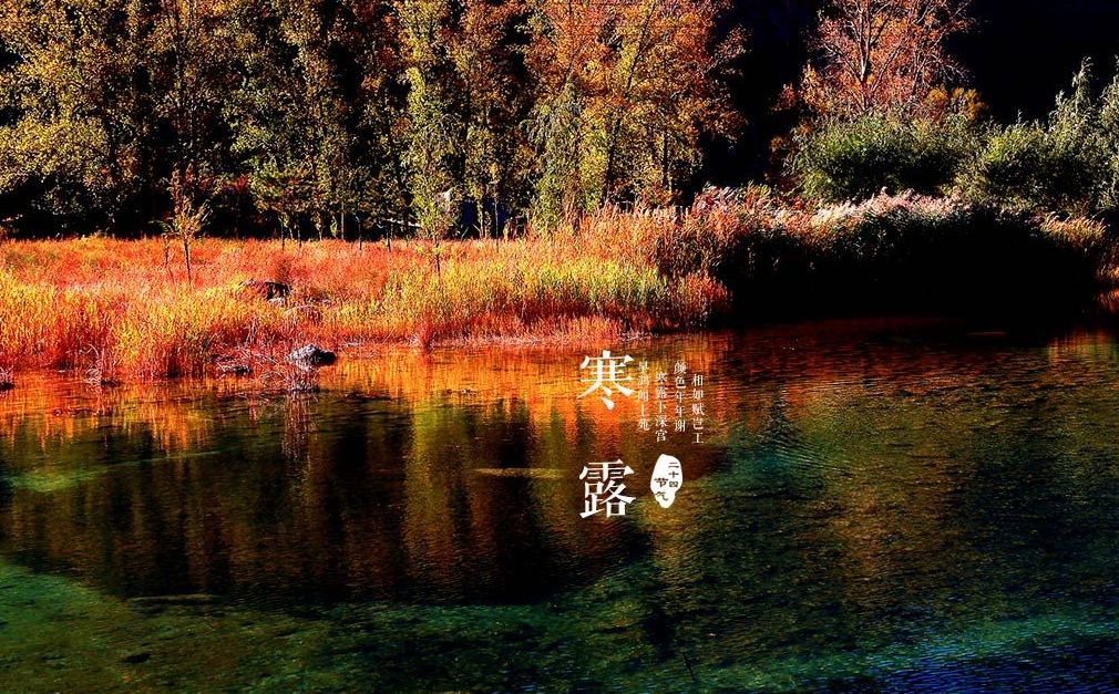 寒露古诗词名句,古诗寒露七言诗句