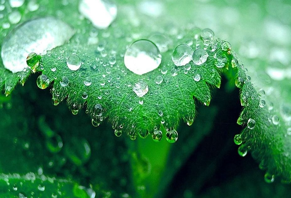 寒露古诗词名句,古诗寒露七言诗句