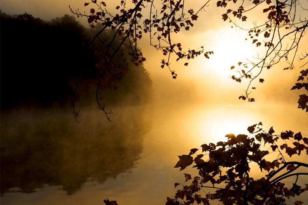 白朴的关于秋天的诗,白朴的关于秋天的诗句