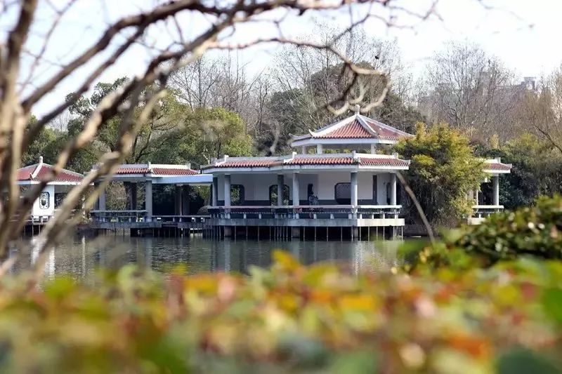 上海地铁3号线沿线美食,上海美食小吃一条街必打卡