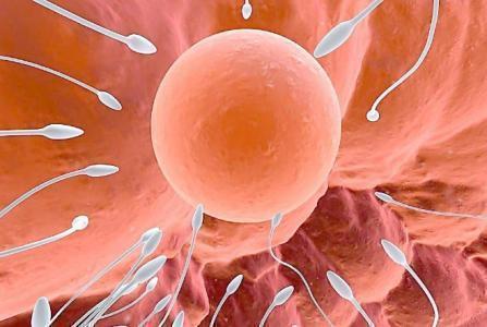 为啥想怀孕的怀不上,为什么想怀孕的时候又怀不上了