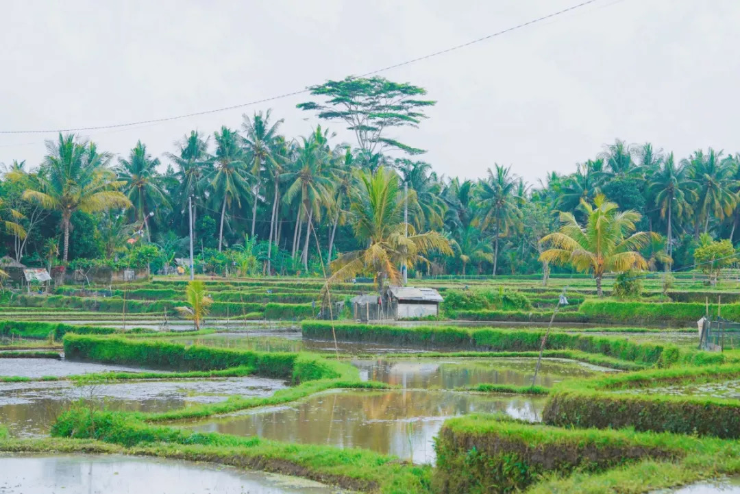 巴厘岛不建议去的地方,巴厘岛的地图