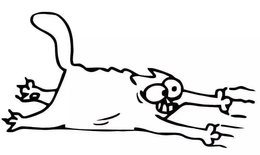 福懋动物医院好不好,福懋动物医院有疫苗打吗