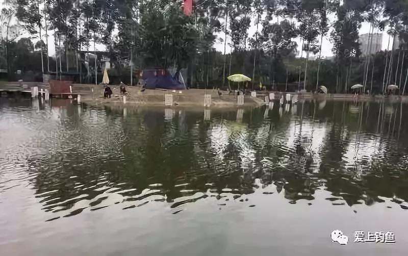 收费的鱼塘钓鱼,收费塘可以路亚吗