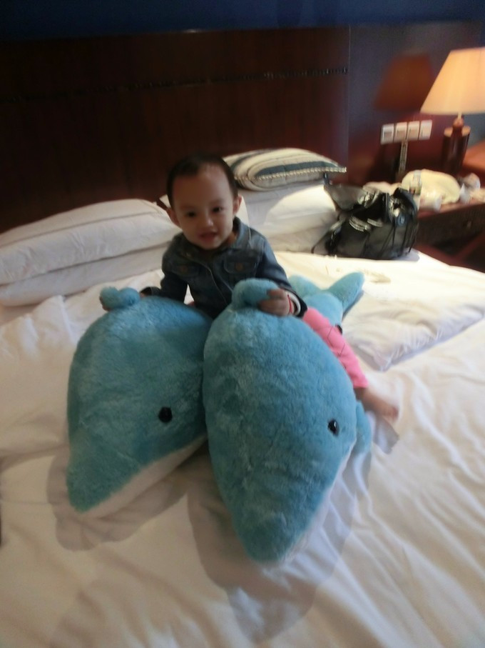 全家人三亚旅游,全家人游海南三亚旅行照片